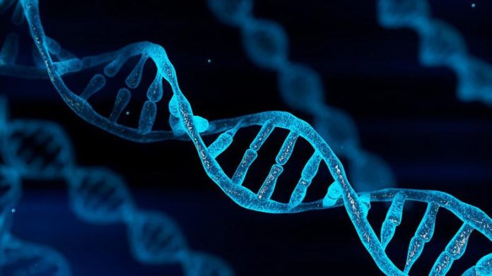 The Role of Genetics in Weight Loss Success