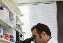 The Role of Genetics in Weight Loss The Role of Genetics in Weight Loss