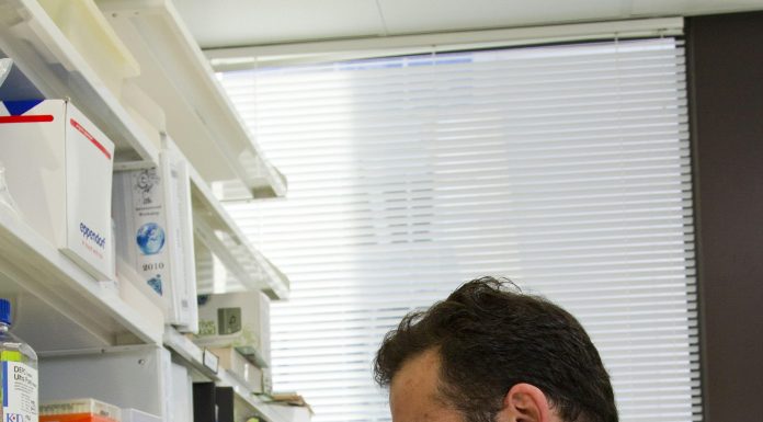 The Role of Genetics in Weight Loss The Role of Genetics in Weight Loss