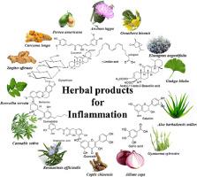 The Spice of Life: Integrating Anti-Inflammatory Herbs and Spices