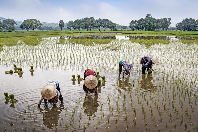 Supporting Local Farmers and Sustainable Practices