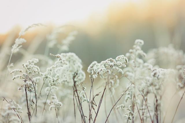 Crafting the Perfect​ Wind-Down Ritual