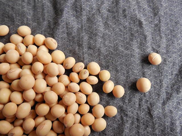 Expert Recommendations for Soy Intake