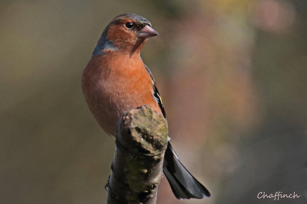 Crafting a Balanced Approach: Expert Tips for Safe and Sustainable Dieting