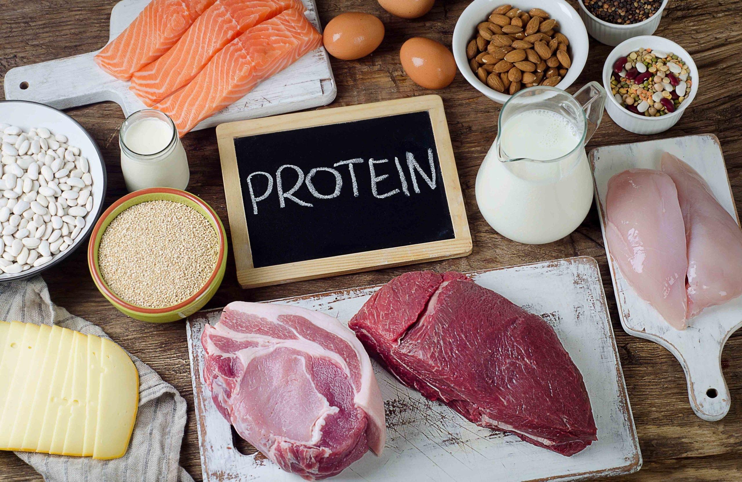 Protein Power: Fueling Fuller Days